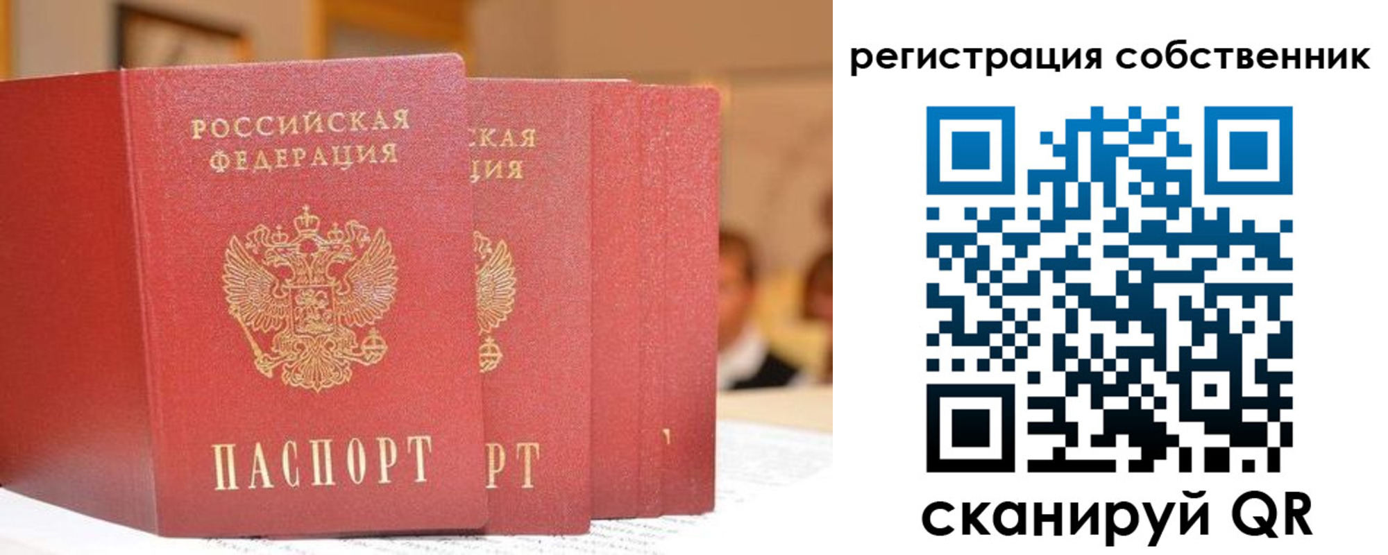 пропишу в квартире в Красном Куте